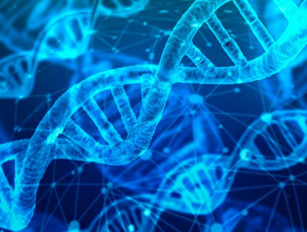 VentureLaunch Application